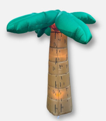 Screenshot 20250505 124819 Messenger 1746467634 Palm Tree 6' Inflatable Yard Decor