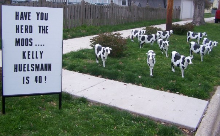 Message Board